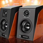 Wooden Combination Speakers